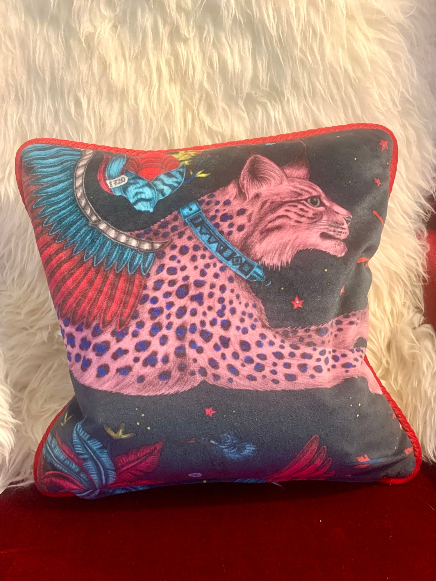 Emma Shipley contrast piped cushion
